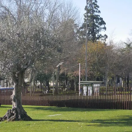 Center Clean & Cozy 4th Floor Appartamento *